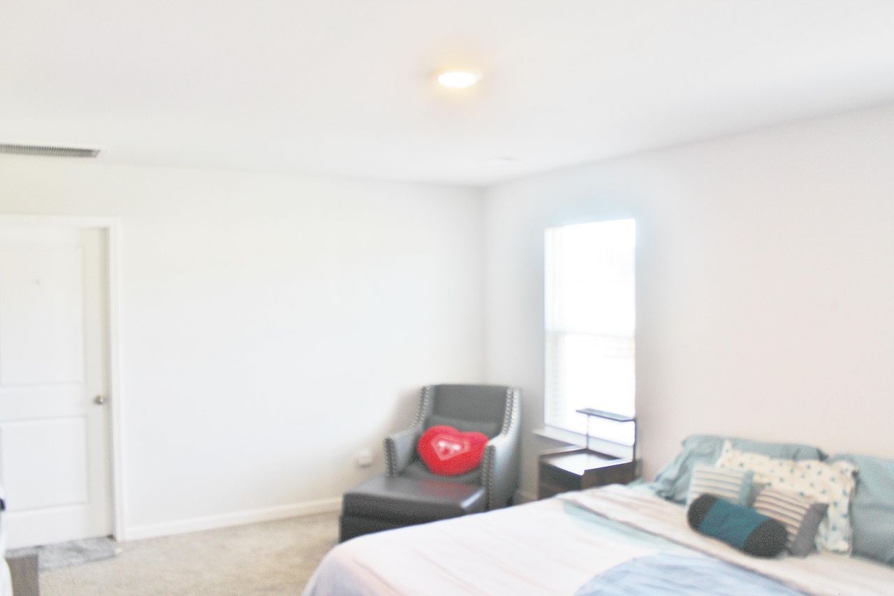 930 Woodside Creek Lane Photo 18