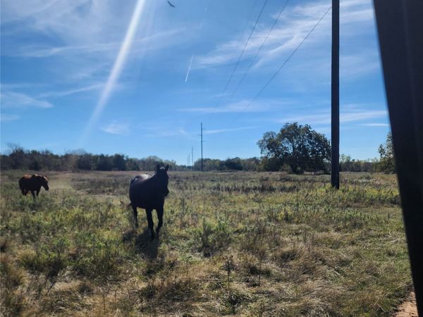 Clifton Road, Marietta, OK 73448