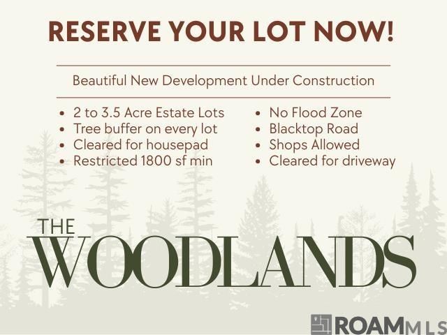 Lot 1 Honey Grove, Livingston, LA 70754 Main Photo