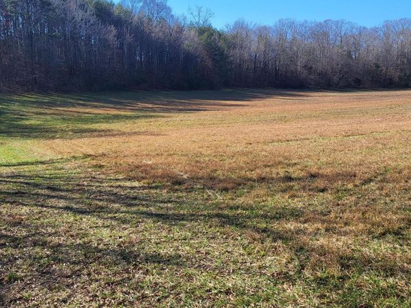 16633 Andy Thomas Road, Sale Creek, TN 37373