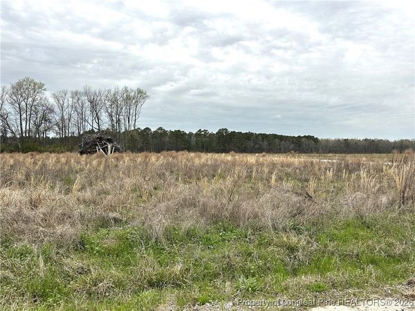 Costner Road, Lumber Bridge, NC 28357