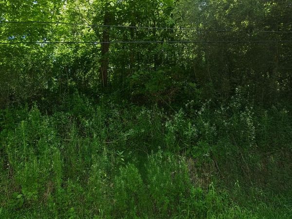 Nazareth Road, Kalamazoo, MI 49048