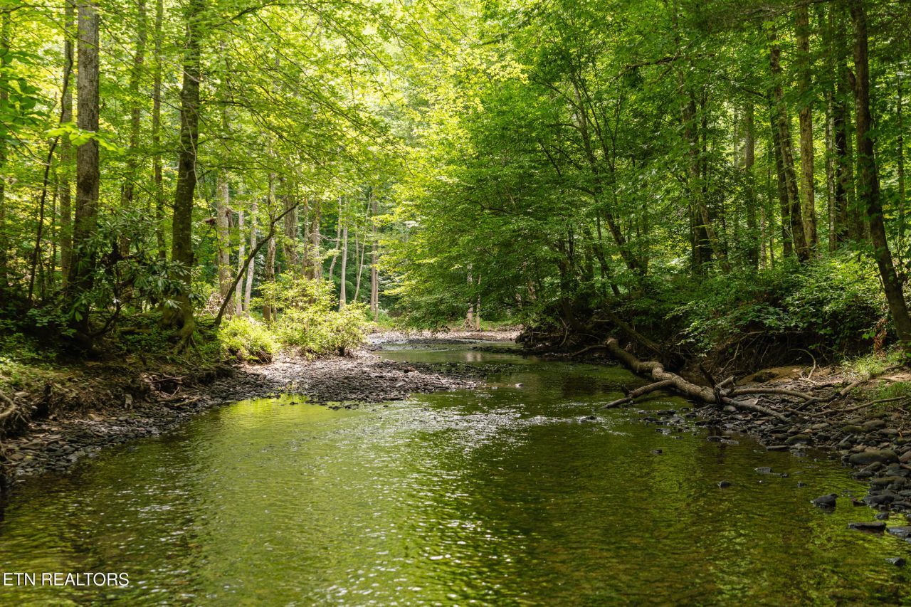 1.92 Ac Steel Tram Ridge Lane, Crawford, TN 38554 Main Photo