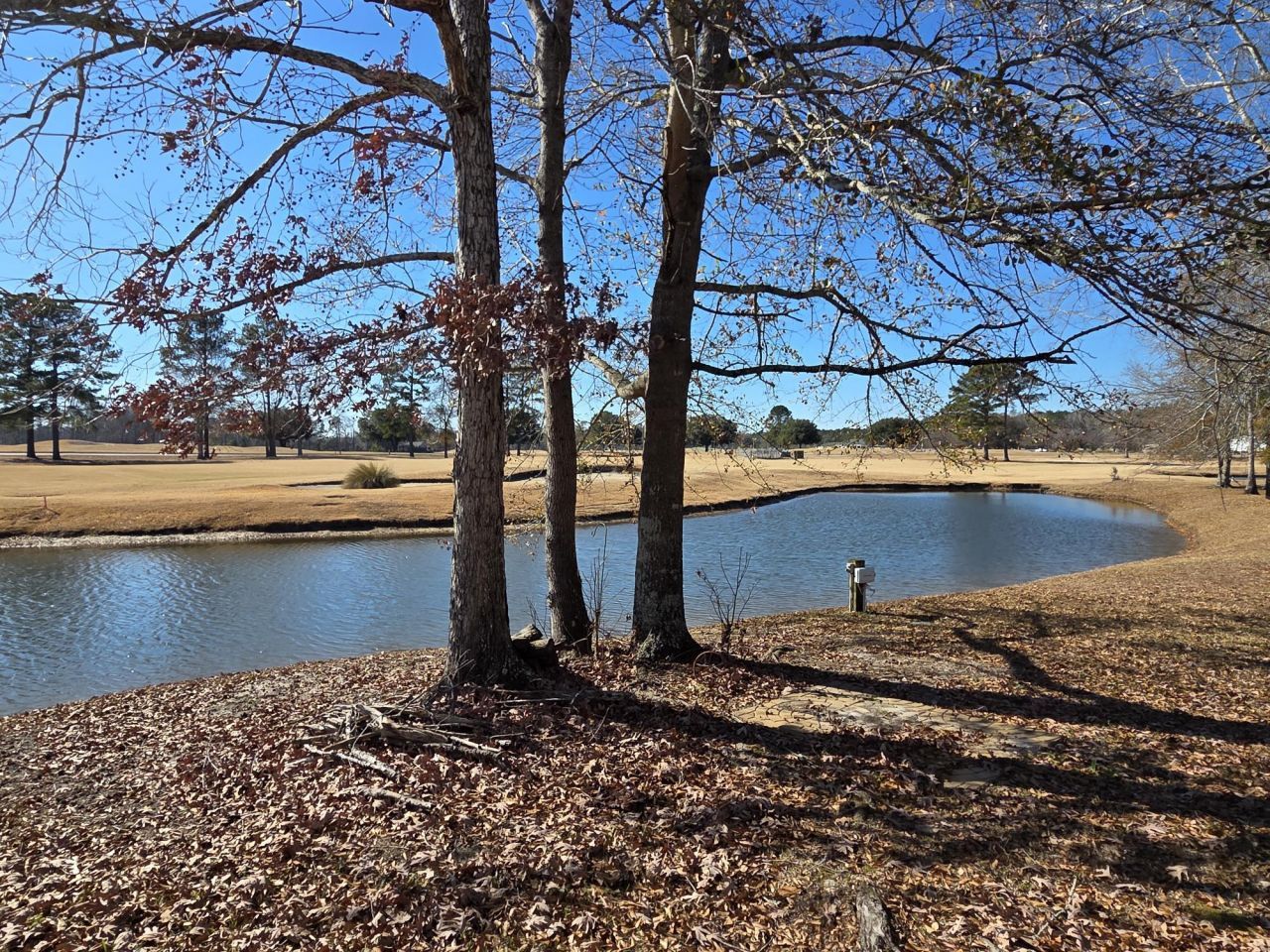 1151 Blue Heron Point Photo 28