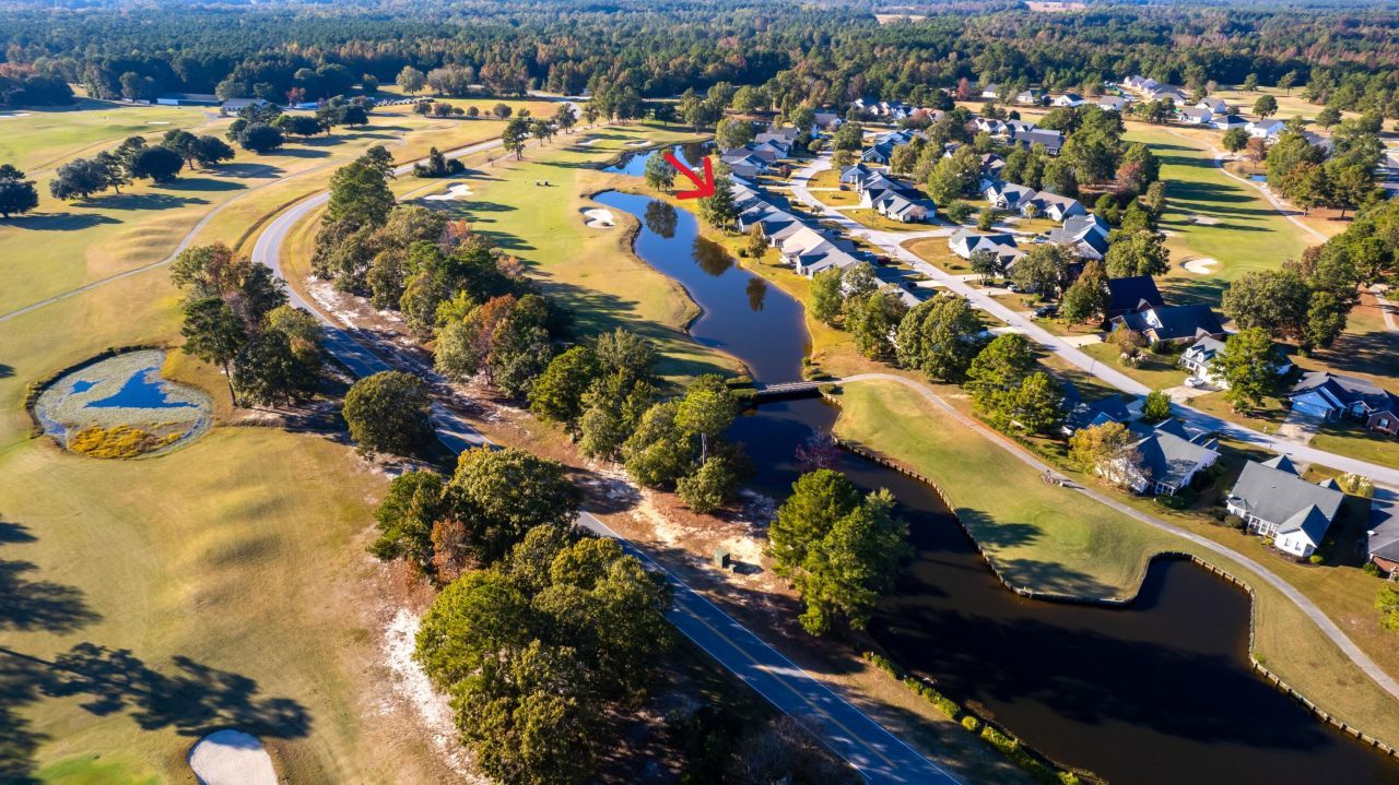 1151 Blue Heron Point Photo 37