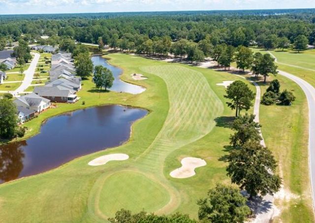 1151 Blue Heron Point Photo 40