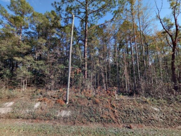 10410 VAUGHAN AVENUE, HASTINGS, FL 32145