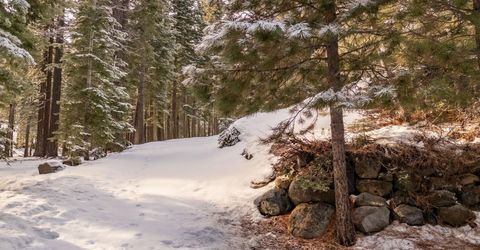 11392 Lockwood Drive, Truckee, CA 96161 Photo