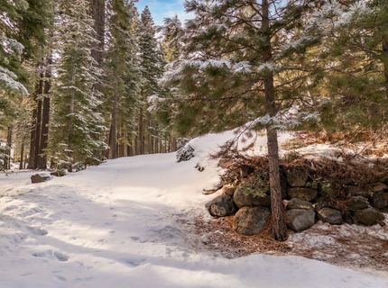11392 Lockwood Drive, Truckee, CA 96161 Photo