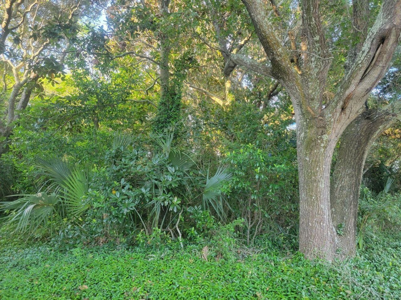 1217 E Ashley Avenue Photo 10