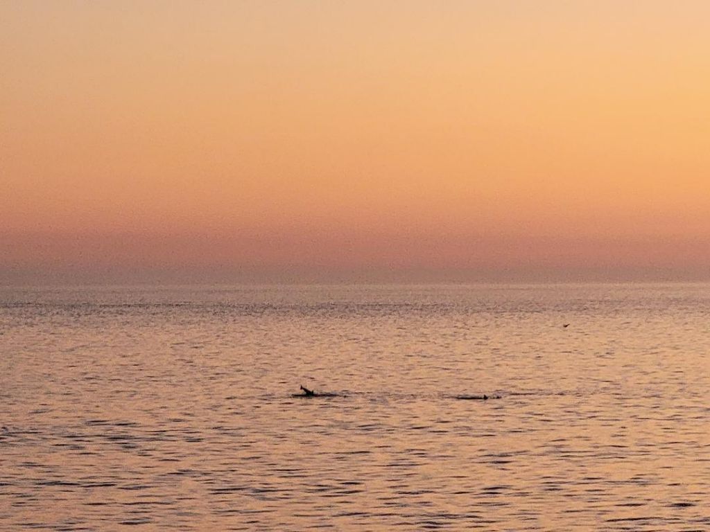 1217 E Ashley Avenue Photo 16