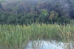 1217 E Ashley Avenue photo 4