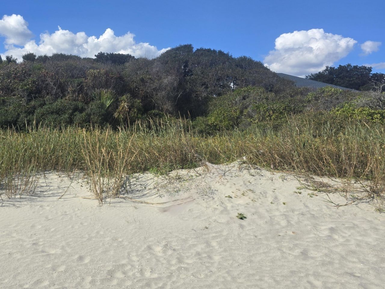 1217 E Ashley Avenue Photo 5