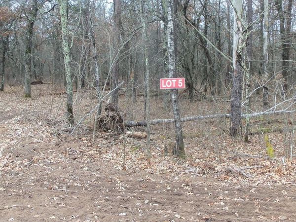 Lot 5 Cnute Creek Trl , Grantsburg, WI 54840