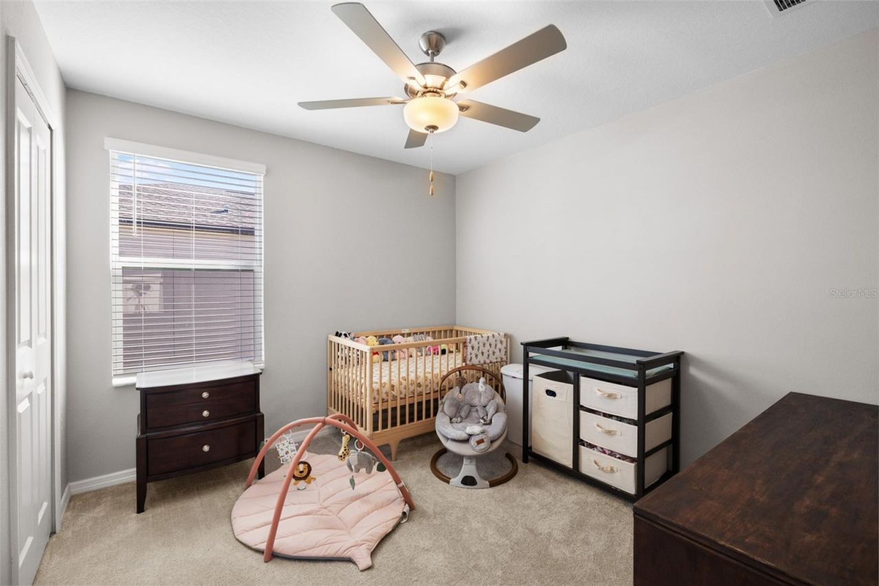 36412 Garden Wall Way, Zephyrhills, FL 33541 Photo