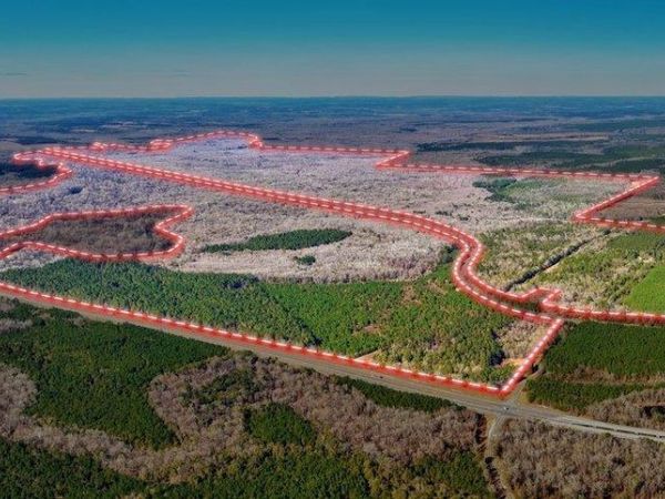 296 Boxwood (3061 acres) Road, Fort Valley, GA 31030