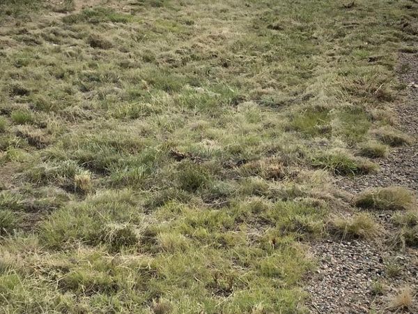 880 E Spaulding Ave, Pueblo West, CO 81007