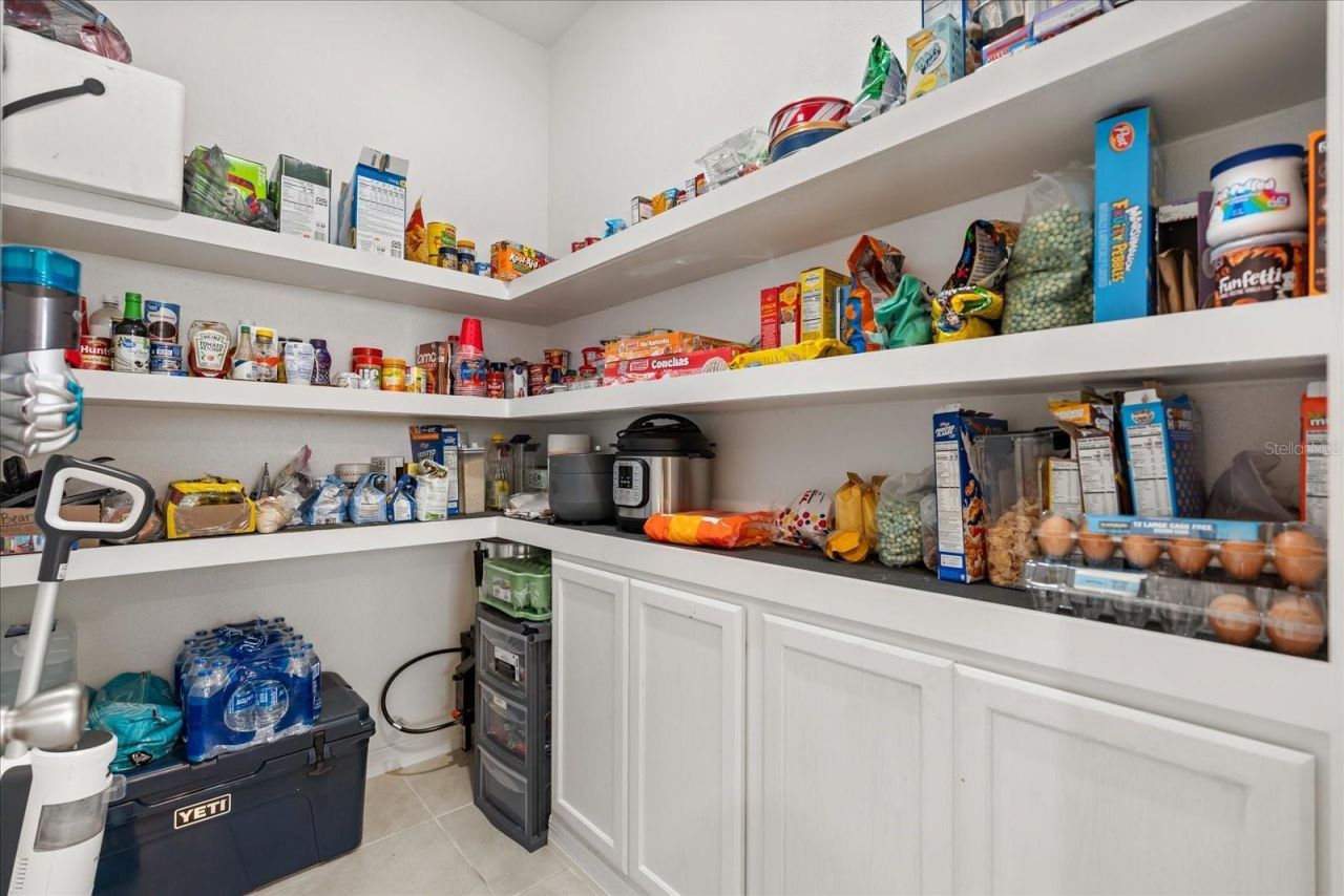 1470 Geranium Drive, Mascotte, FL 34753 Photo