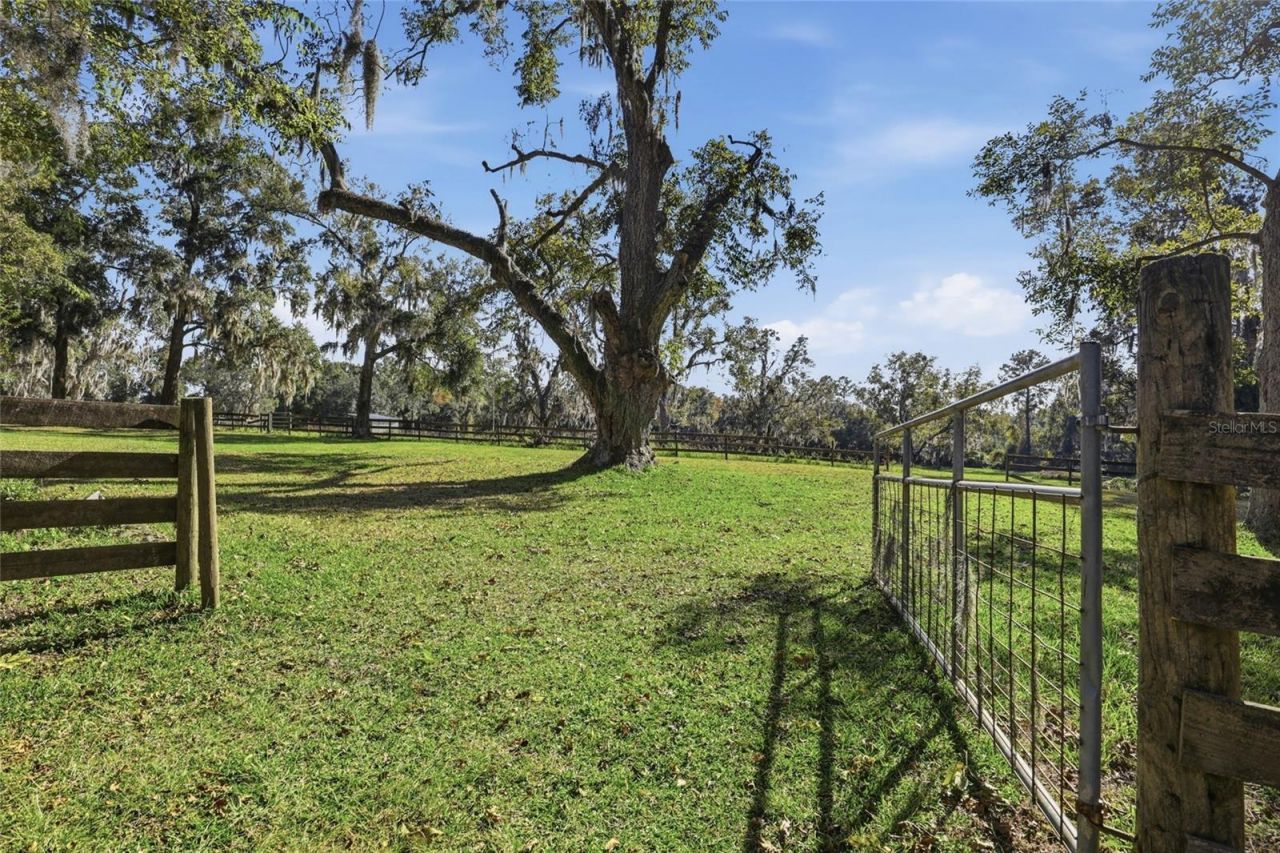 6109 SW Elim Church Road, Fort White, FL 32038 Photo