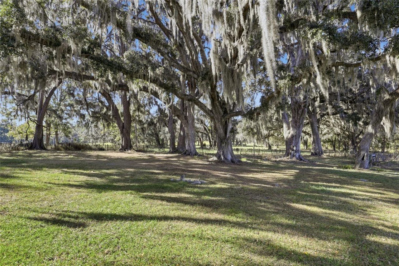 6109 SW Elim Church Road, Fort White, FL 32038 Photo