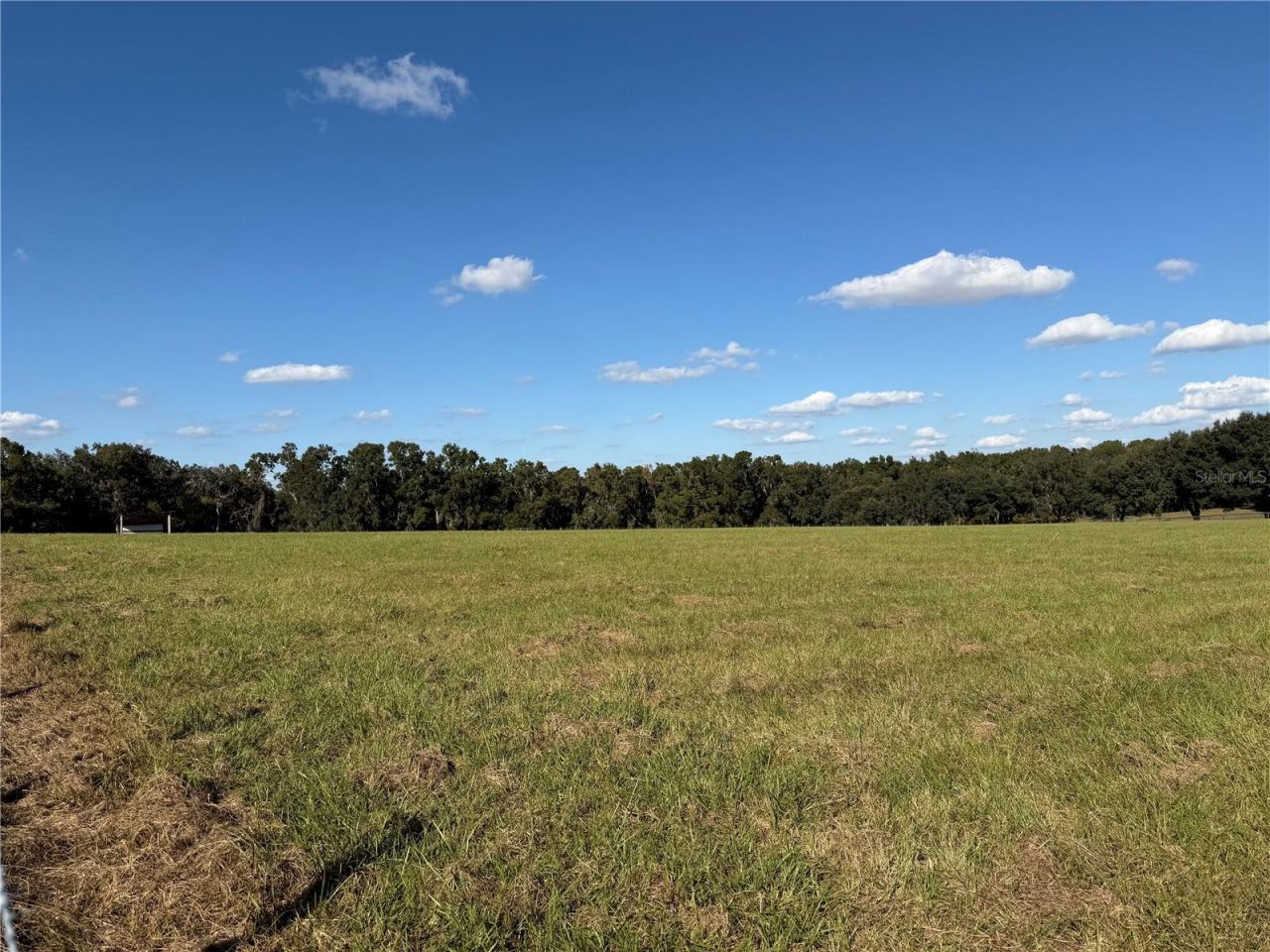 6109 SW Elim Church Road, Fort White, FL 32038 Photo