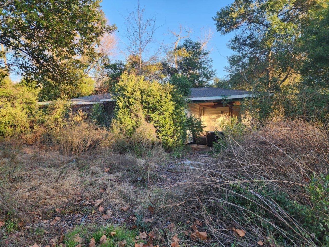 58 Grayson Street Photo 1