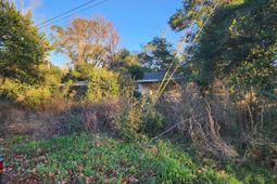 58 Grayson Street photo 4