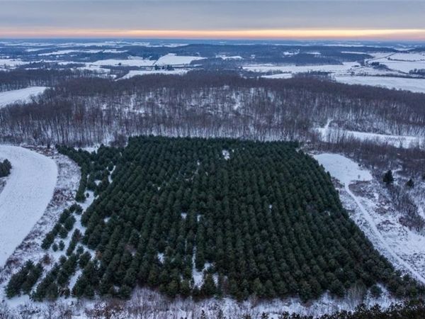 0 6 1/2 Avenue, Hillsdale, WI 54733