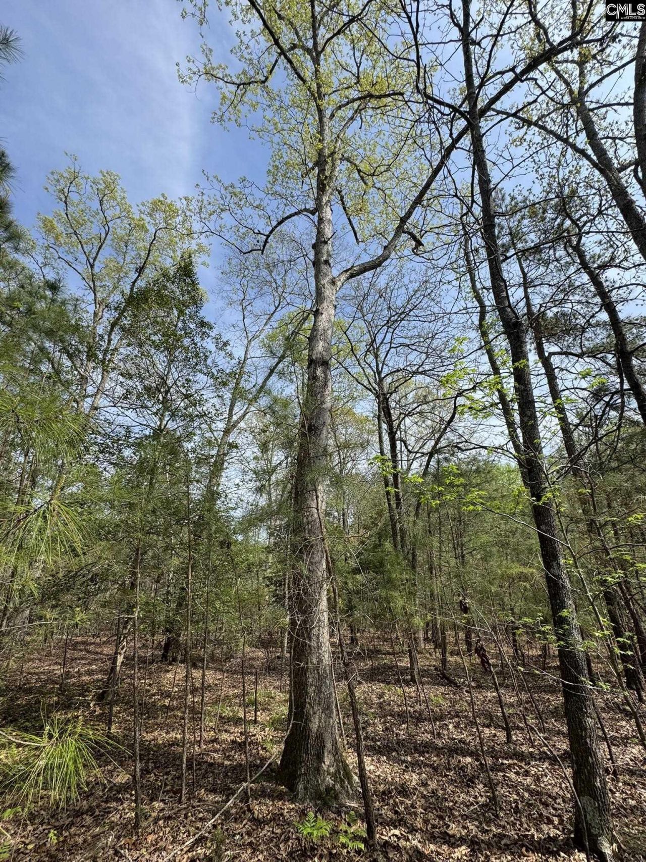 359 Holly Point Road Photo 11