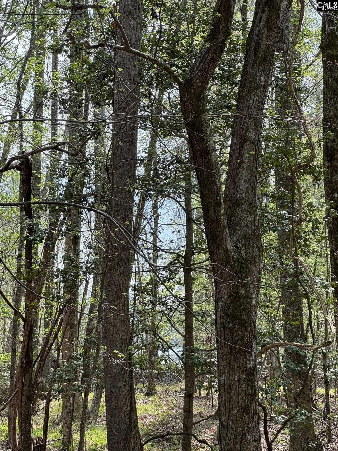 359 Holly Point Road Photo 13