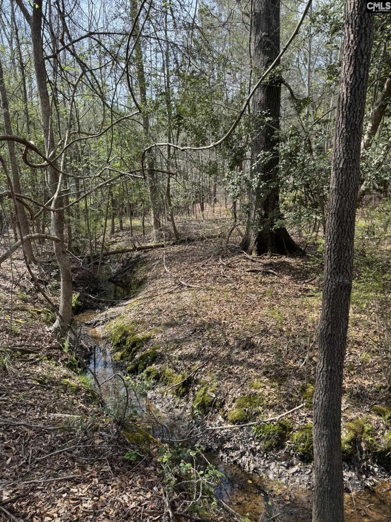 359 Holly Point Road Photo 14