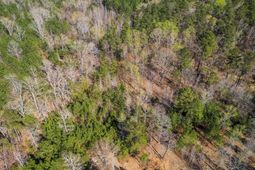 359 Holly Point Road photo 4