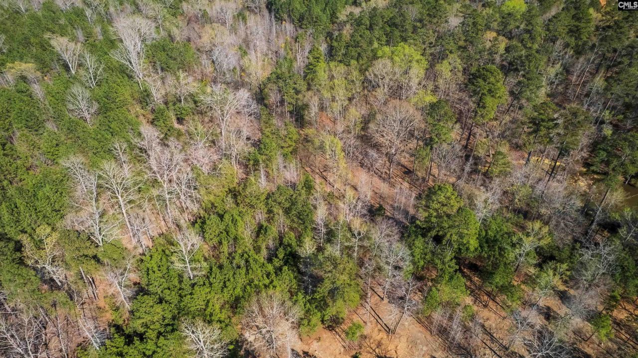 359 Holly Point Road Photo 4