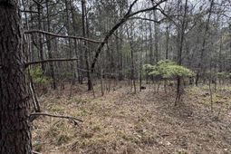 359 Holly Point Road photo 4