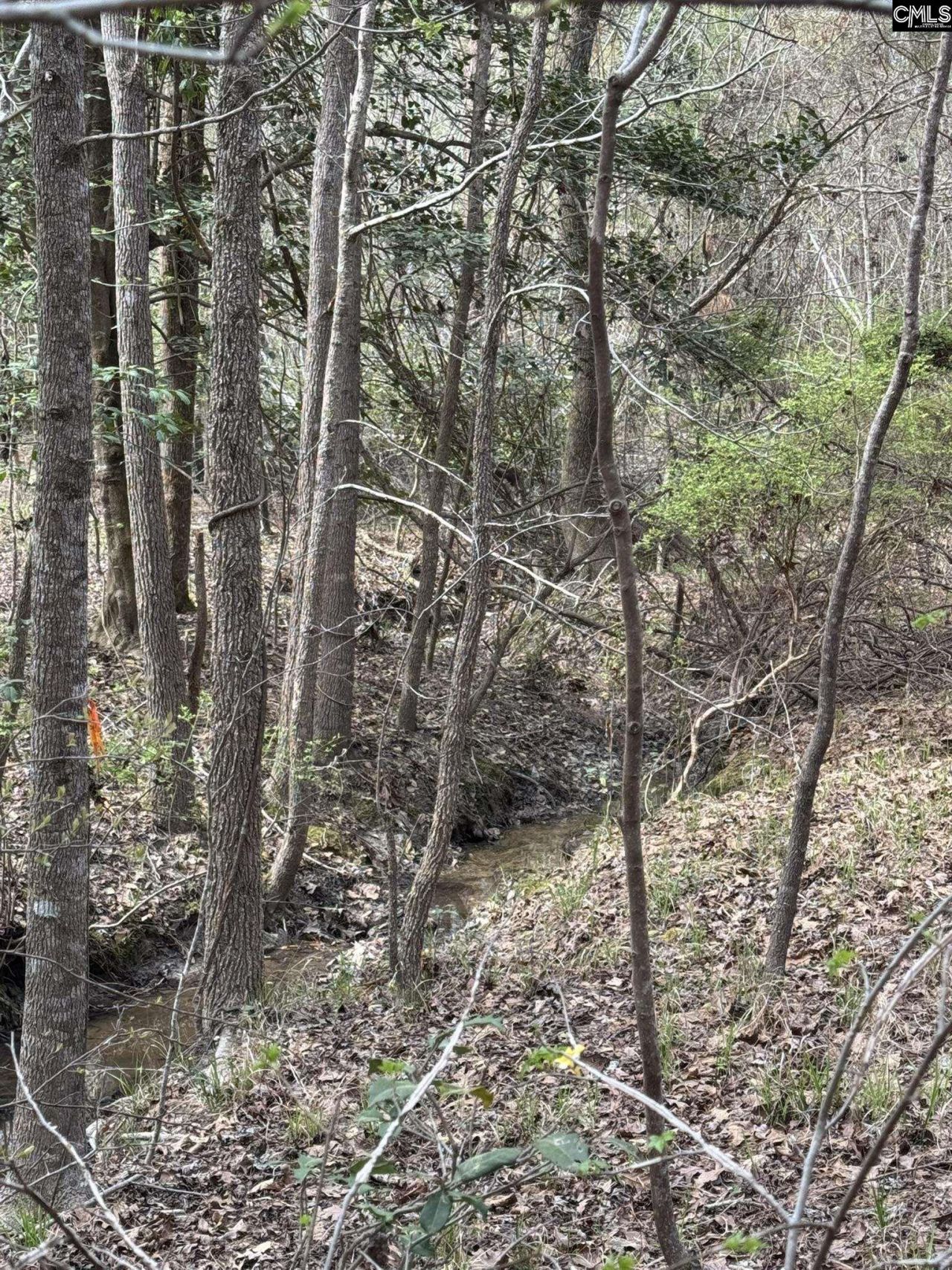 359 Holly Point Road Photo 6