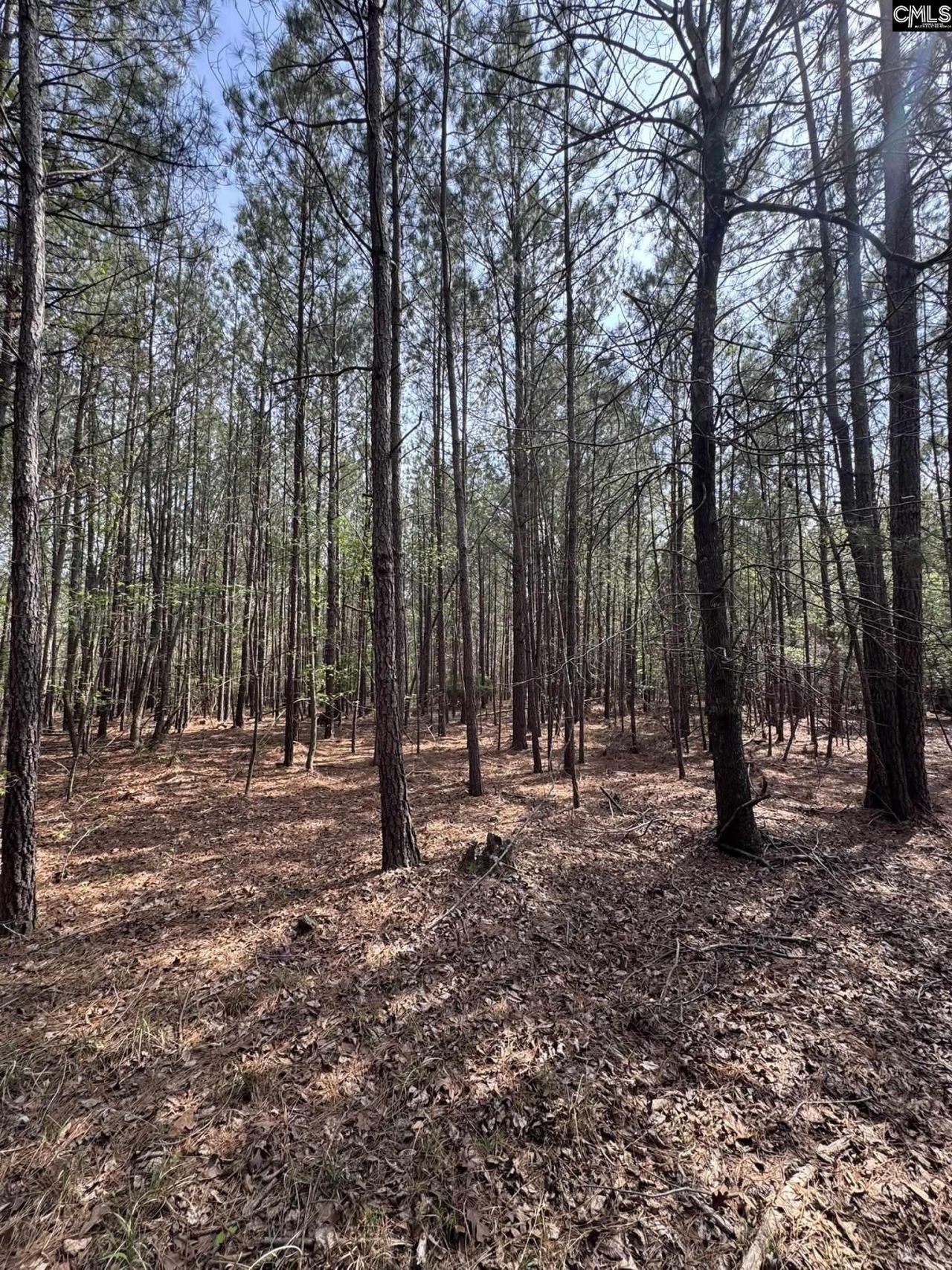 359 Holly Point Road Photo 9