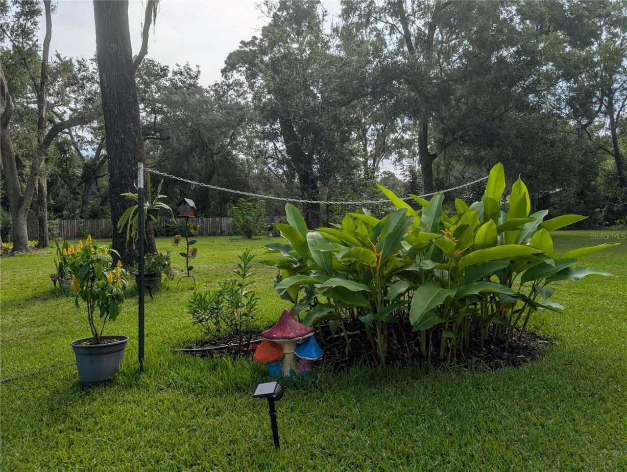 6250 NW 94th Lane, Chiefland, FL 32626 Photo