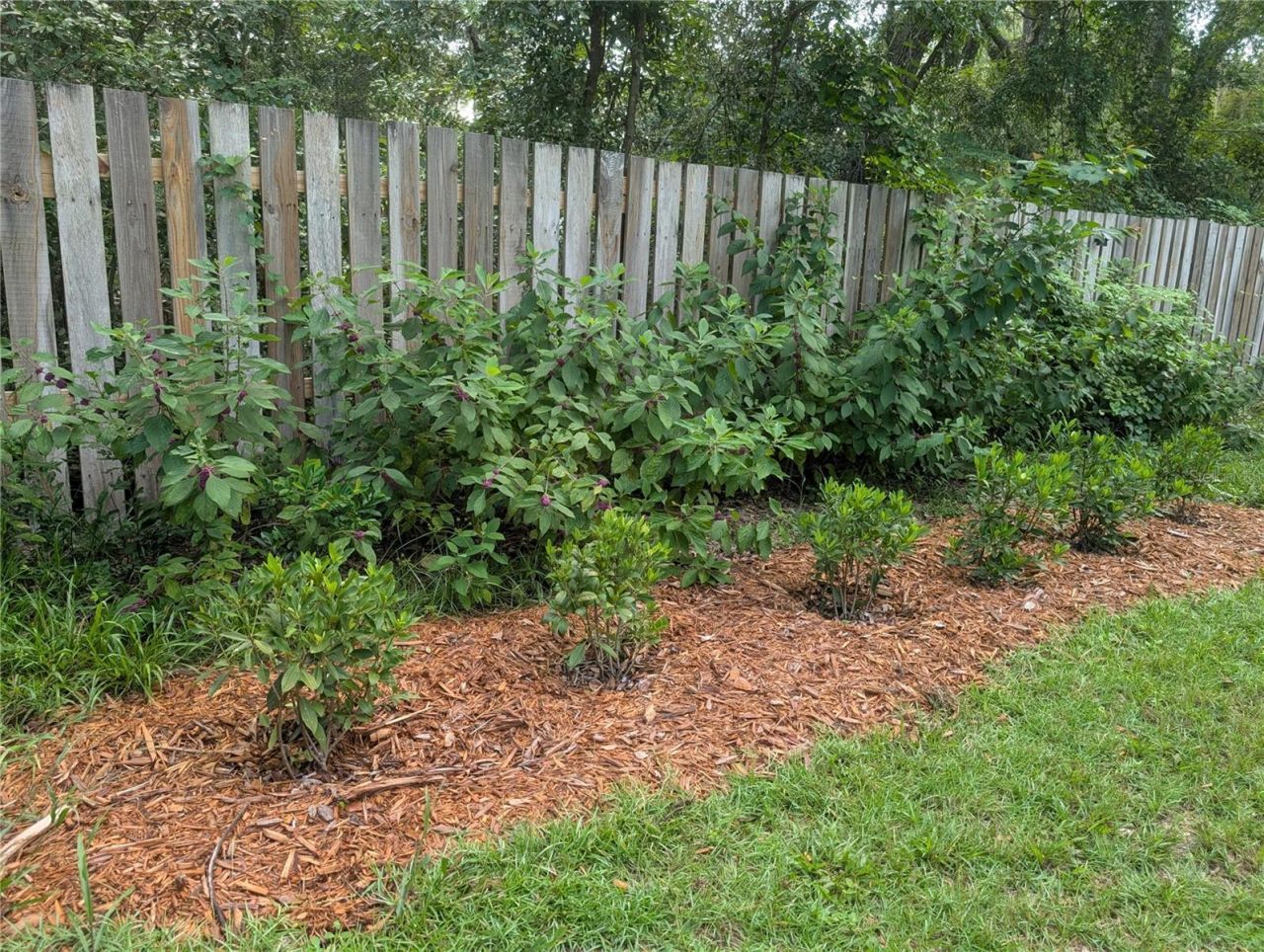 6250 NW 94th Lane, Chiefland, FL 32626 Photo