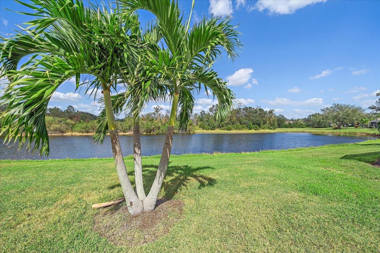 7011 Woodmore Terrace, Lakewood Ranch, FL 34202 Photo