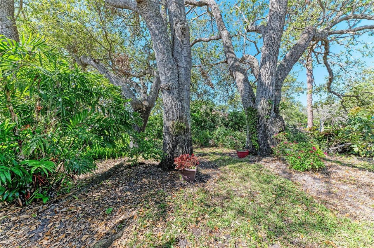 7615 4th Avenue W, Unit 7615, Bradenton, FL 34209 Photo