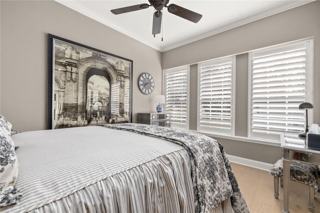 529 Greenbrier Avenue, Celebration, FL 34747 Photo