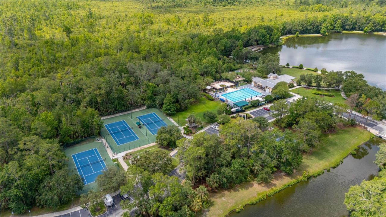 529 Greenbrier Avenue, Celebration, FL 34747 Photo