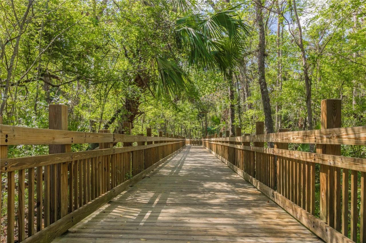 529 Greenbrier Avenue, Celebration, FL 34747 Photo