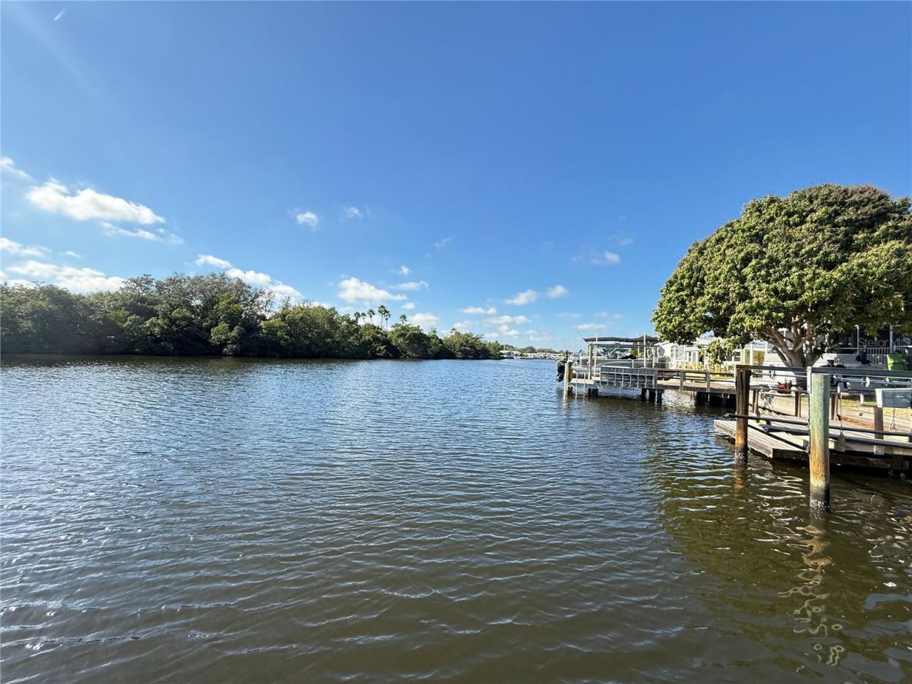 622 Mount Oak Avenue Ne, Unit 733, Saint Petersburg, FL 33702 Photo