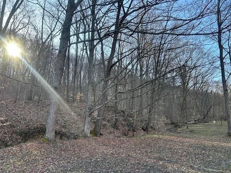 0 Hansley Road SE, Sugar Grove, OH 43155 Photo 13