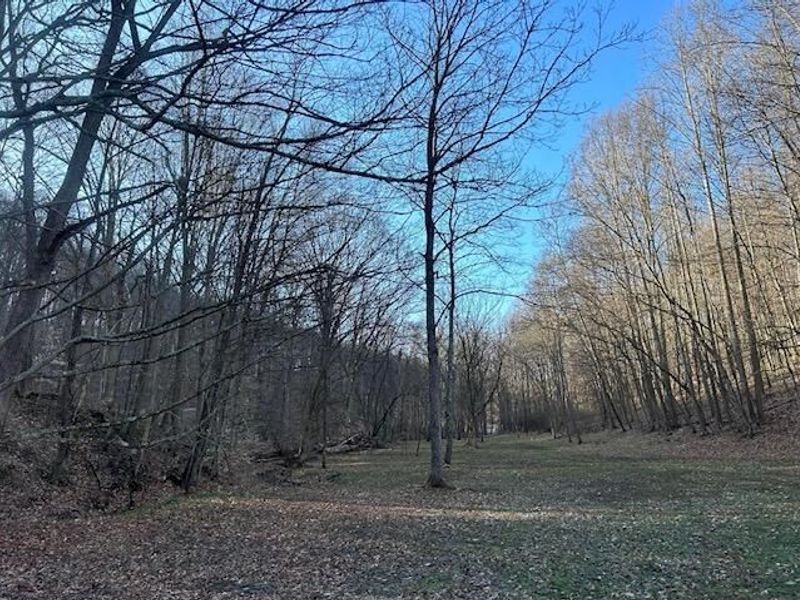 0 Hansley Road SE, Sugar Grove, OH 43155 Photo 14