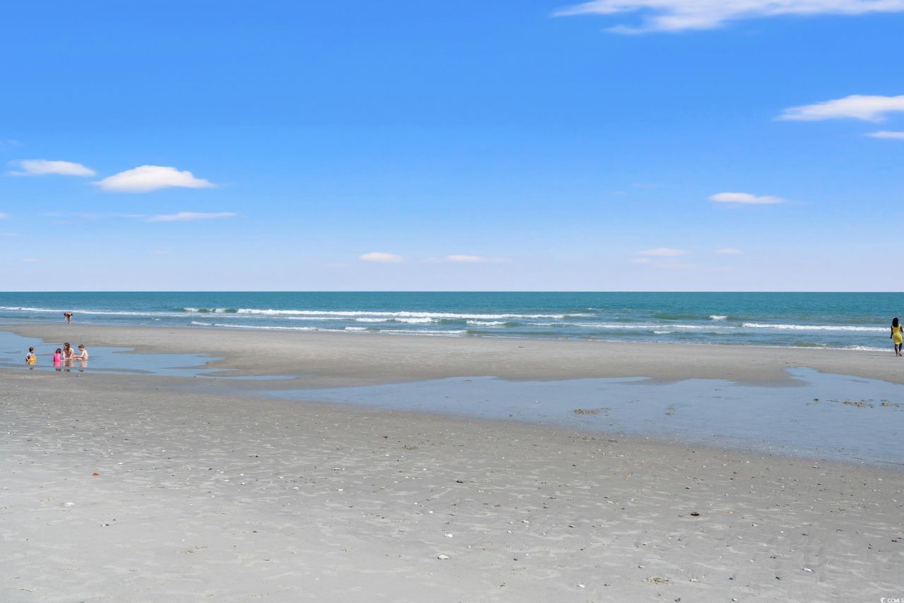 8338 Cape Dutch Loop Photo 40