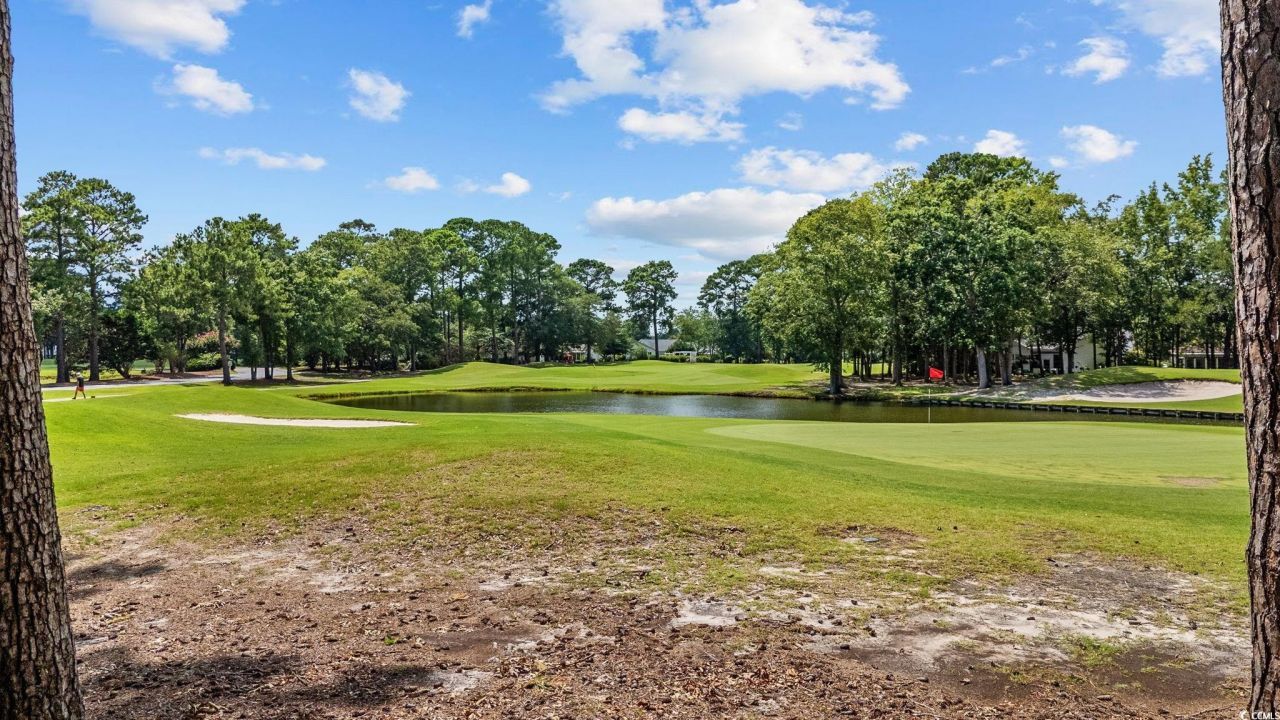 4430 Turtle Ln. Photo 31