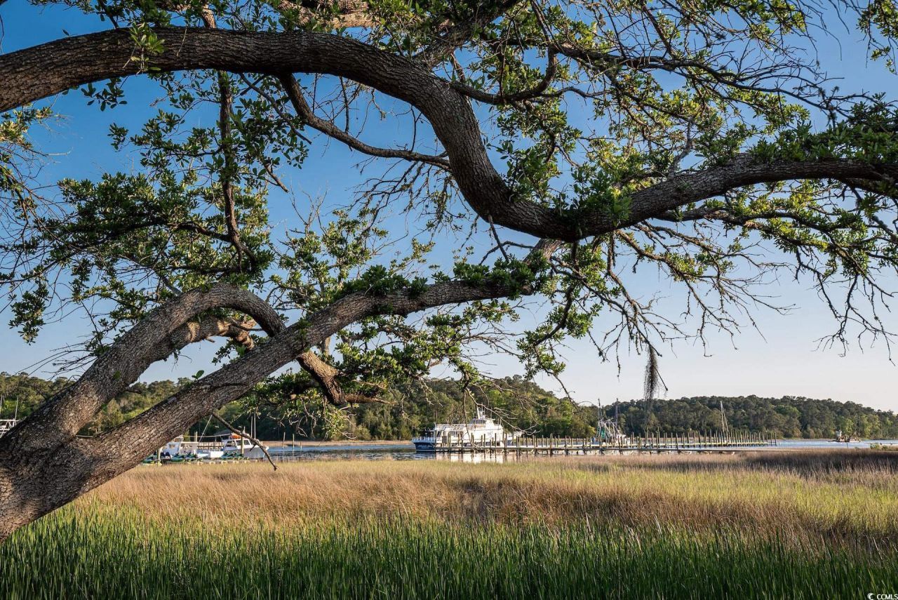 4271 Hibiscus Dr. Photo 35