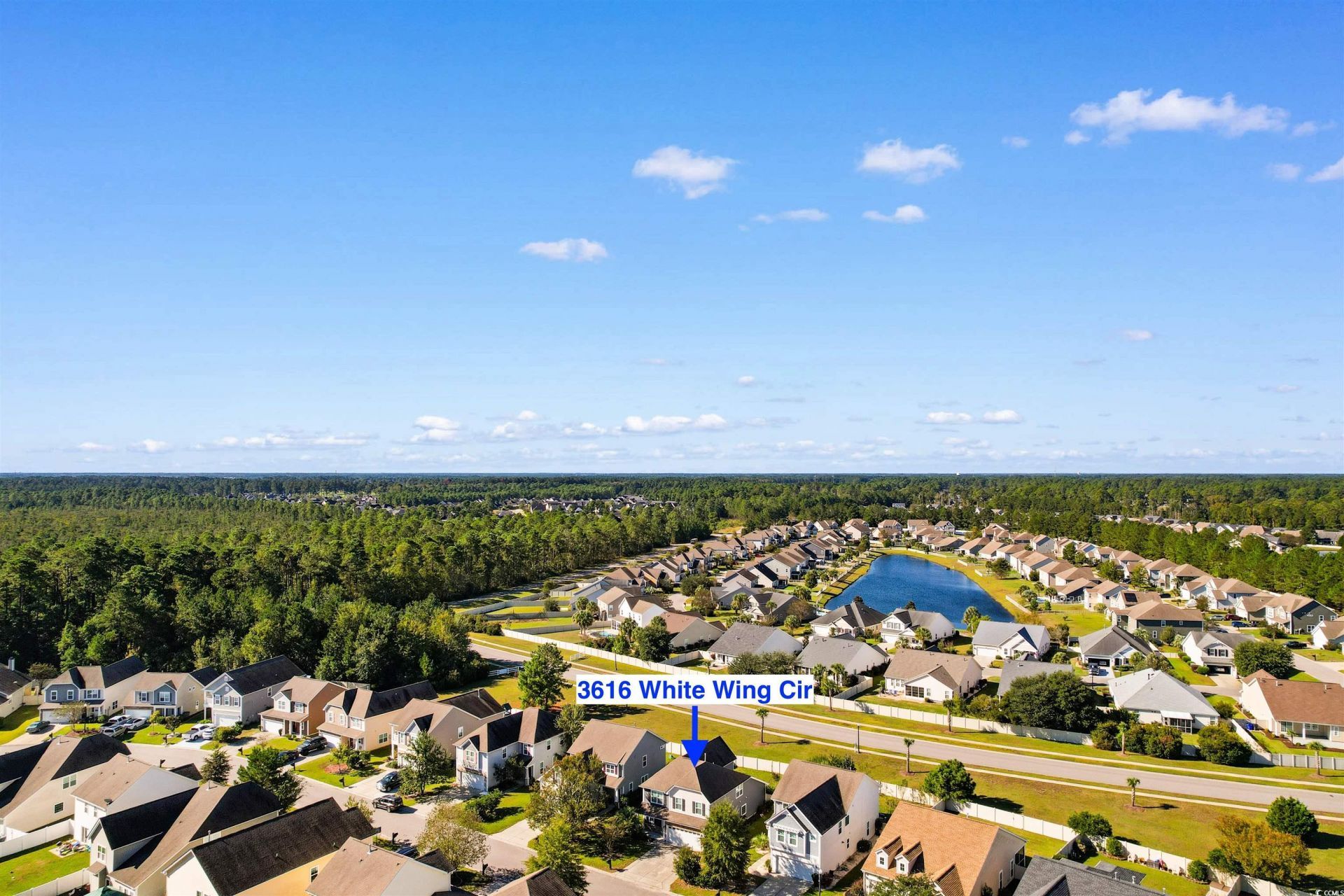 3616 White Wing Circle Photo 33